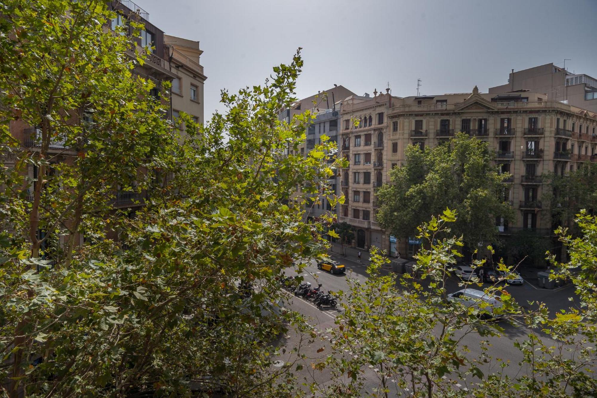 R&B Muntaner Apartment - Barcelona, Barcelona